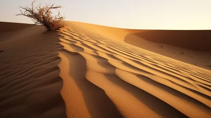 Foto op Aluminium A vast desert landscape with a single plant growing on a sand dune © Adobe Contributor