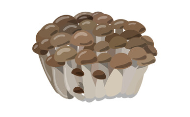 しめじ　ぶなしめじのイラスト素材