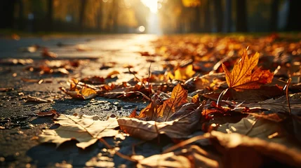 Foto op Plexiglas autumn leaves in the park © urwa