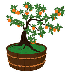 Orange tree with fruits and flowers in wooden vat vector illustration