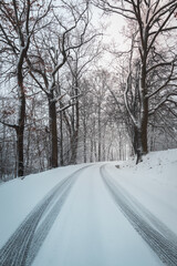 Road in forest under fresh snow in winter storm. Czech landscape, transportation background