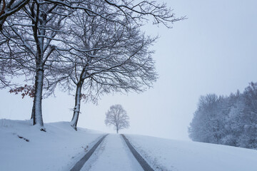 Road with trees under fresh snow in winter storm. Czech landscape, transportation background