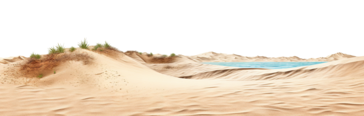 Beach or desert sand cut out