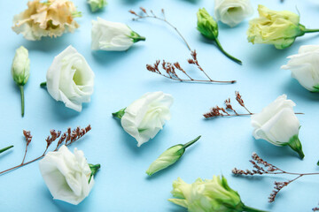 Composition with beautiful eustoma and dried flowers on color background