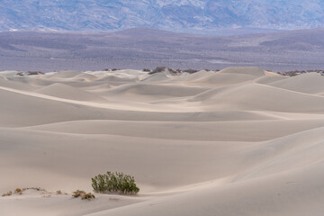 Sand dunes in Death Valley California