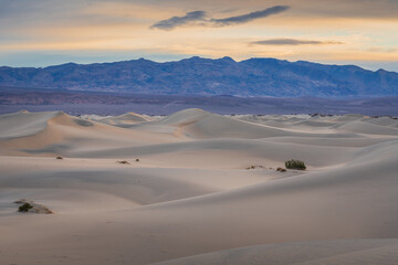 Landscape of Mesquite Sand Dunes in Death Valley, CA