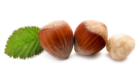 Shelled hazelnuts with leaf on white background