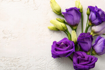 Composition with beautiful fresh eustoma on light background, closeup