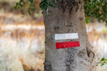 Red and white paint marks painted on the trunk of the tree, long distance path (GR) signs