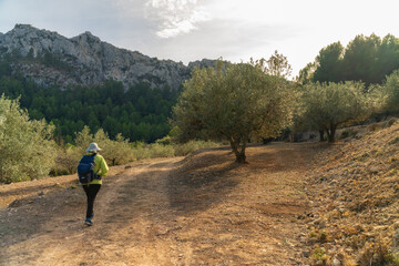 Unrecognizable hiker walking by the path.