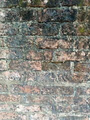Old brick wall stock photo 