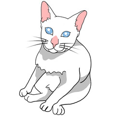 illustration of a white cat 