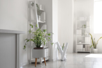 Blurred view of modern office with shelf units and plants