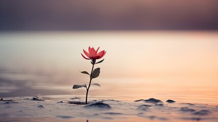 Fototapeta premium Single flower simplicity.. Generative AI