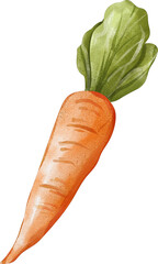 Watercolor carrot transparent clip art png