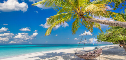 Tropical beach tourism panorama summer landscape. Leisure beach swing hammock peaceful white sand,...
