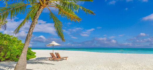 Tropical tourism beach. Summer nature landscape. Freedom romantic chairs palm trees calm sea sand...