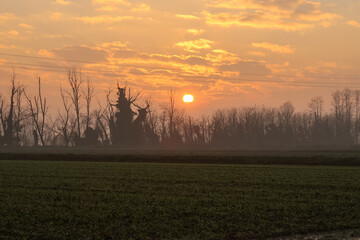 Sunset Po Valley Italy landscape sun sky fields color
