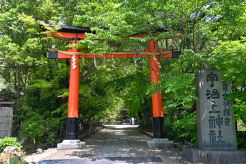 宇治市の世界遺産宇治上神社 鳥居と参道