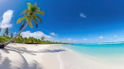 Rollo beach views with coconut trees, bright blue skies, stunning tropical beach views. Clear white sand beach on a summer day. © elli_
