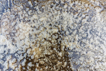 Rippling water with foamy surface in a small puddle after rainfall