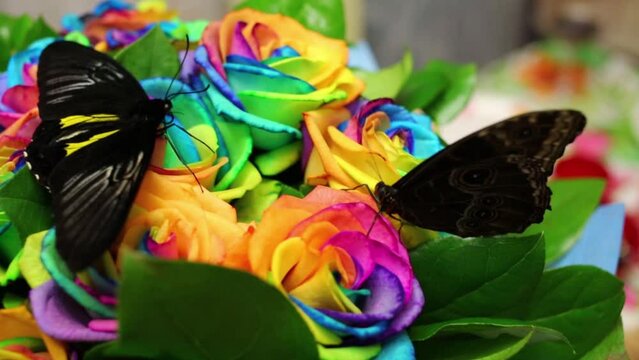 Two big butterflies sit on bouquet of rainbow roses
