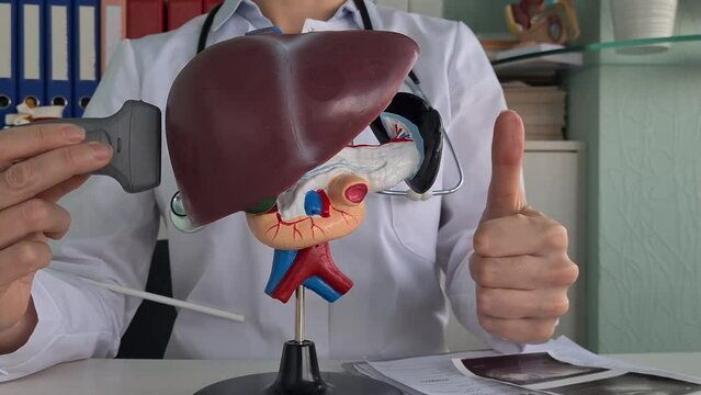 Ultrasound diagnosis of the stomach and liver of abdominal cavity in clinic doctor holds thumbs up. Ultrasound of liver and gallbladder cirrhosis of liver symptoms and treatment