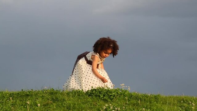 Little bi-racial, mixed race girl in spotted dress rips off flowers in meadow