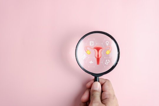 Uterus female reproductive system, women health, PCOS, ovary gynecologic and cervical cancer, magnifier focus to uterus icon, Healthy feminine concept