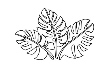 One line drawing vector monstera leaf illustration