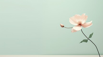 simple minimal pastel background illustration clean serene, calm delicate, light subtle simple minimal pastel background