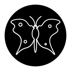 spring glyph icon