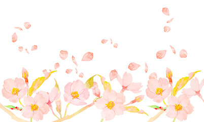 水彩で描いたかわいい桜の花のイラスト背景素材