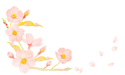 水彩で描いたかわいい桜の花のイラスト