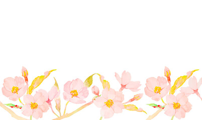 水彩で描いたかわいい桜の花のイラストフレーム