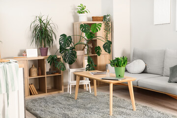 Interior of living room with green plants, shelf units and sofa