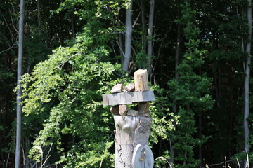 Collection of stones and rocks on a tree stump