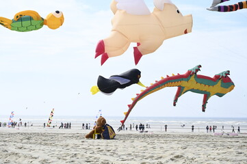 Festival des Cerfs-Volants à Berck sur mer