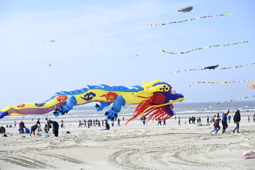 Festival des Cerfs-Volants à Berck sur mer