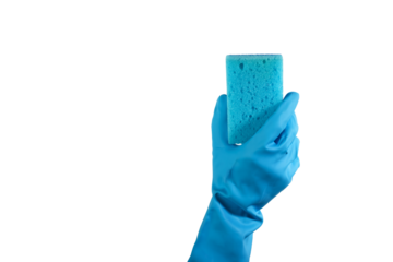 Professional cleaner, hand with cleaning sponge, sanitation tool, wash service,isolated