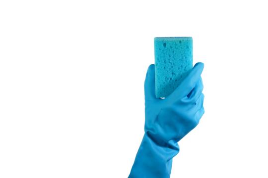 Professional cleaner, hand with cleaning sponge, sanitation tool, wash service,isolated