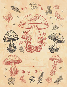 Mushrooms frame. Old paper vector. Cover page template. Autumn forest, vertical background
