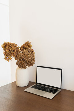 Laptop computer screen with empty free copy space for mock up, clay flowerpot with dried hydrangea flower on table. Social media branding, online shopping template
