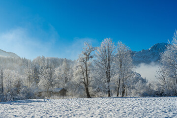 Winterwonderland rund um den Kochelsee