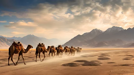Gordijnen Herd of double hump camels in ladakh © Trendy Graphics