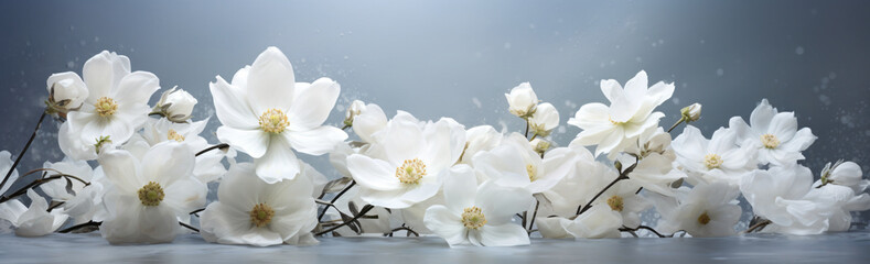 Fototapeta na wymiar White blossoms are seen on a pristine white surface with mirrors, in the style of photographic, white background