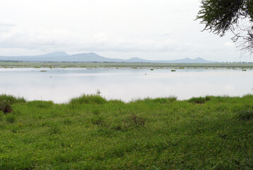 Parc national de Tarngire en Tanzanie