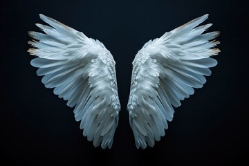 Graceful Pair Of Angelic Wings Effortlessly Drifting Through The Night