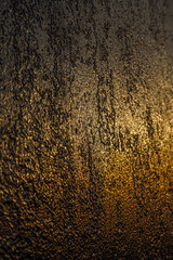 Detail of old metal door hit by sunset light in Red Hook Brooklyn, New York