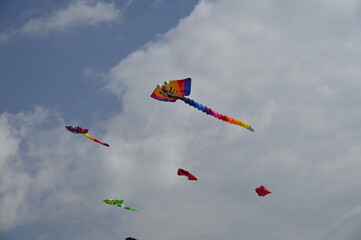 Festival des cerfs-volants à Berck-sur-mer
